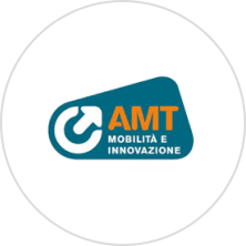 Amt